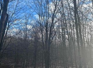 LOT 141 E Village Dr, Bellaire, MI 49615