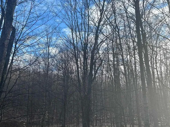 LOT 141 E Village Dr, Bellaire, MI 49615