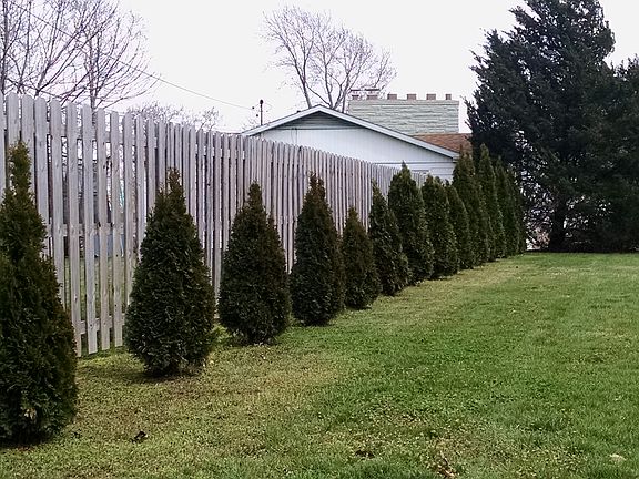 New Landscaping and Yard Gra