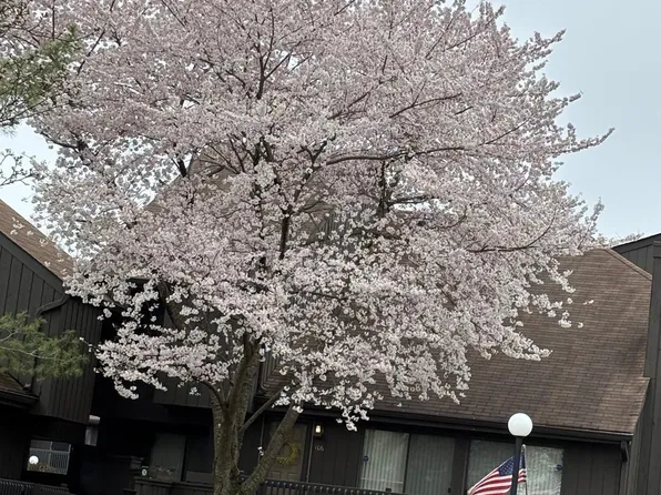 106 Westgate Dr, Edison, NJ 08820