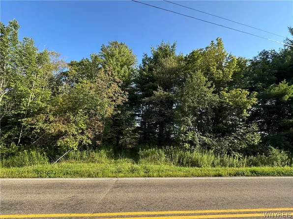 V/l Genesee Rd Lot 3, North Collins, NY 14091