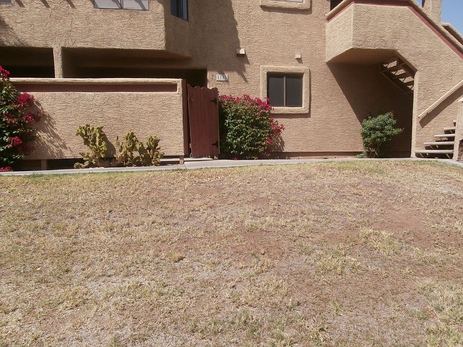 1st image of 850 S River Dr Unit 1113