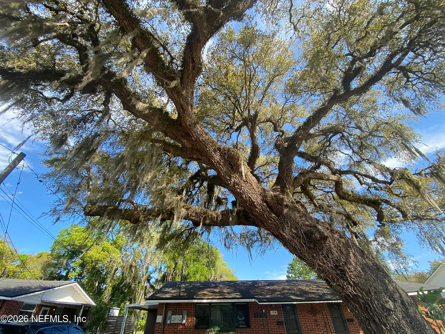 2 bed, 1.0 bath, 1120 sqft, $1,825 — Photo 4