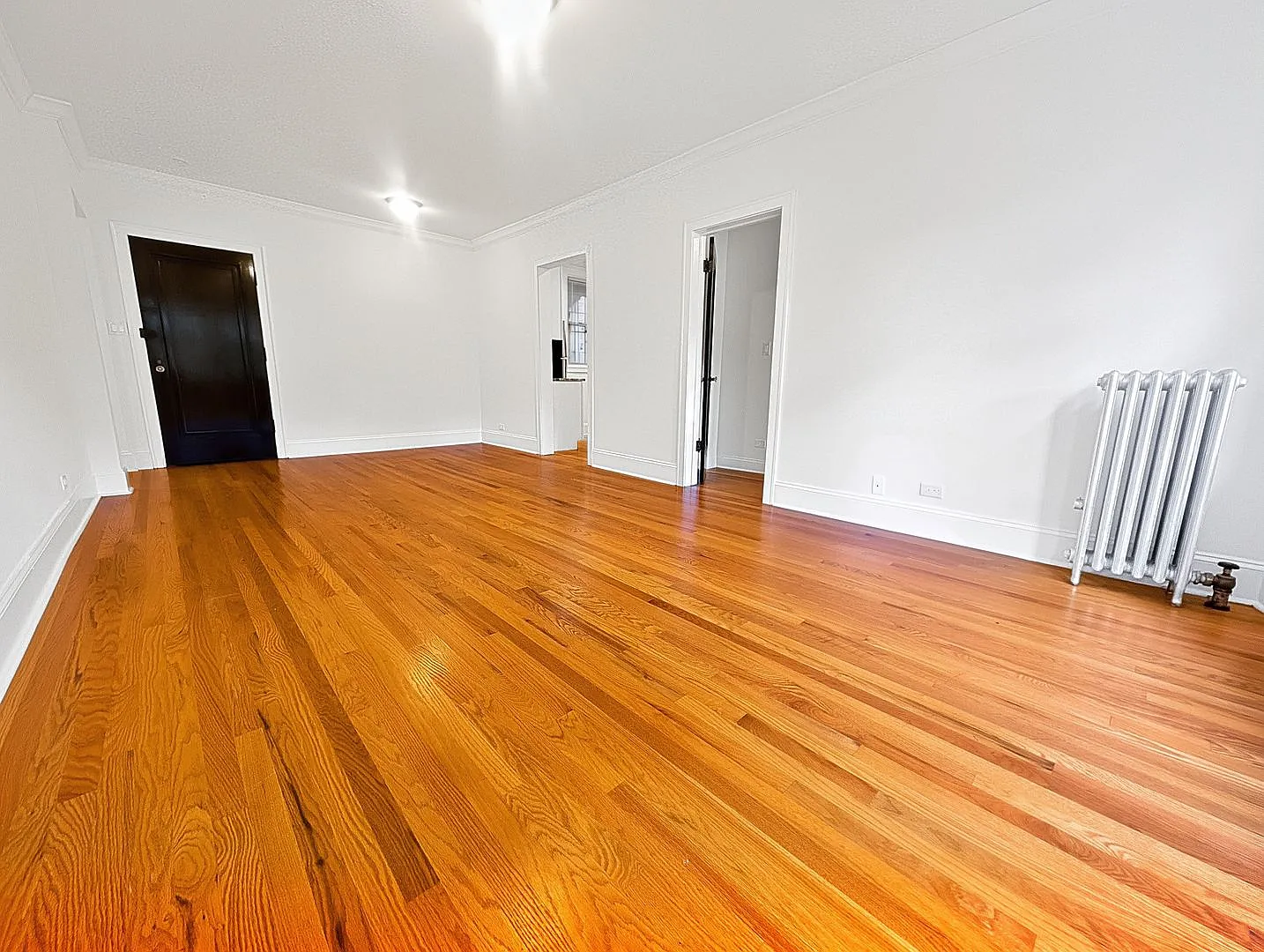 Bright and Sunny Updated 3-bed/1-bath near Loyola — Photo 4