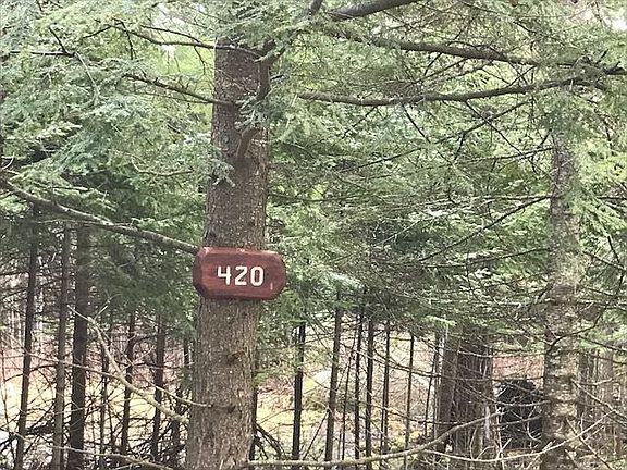 4th image of 420 Partridge Bay Trl