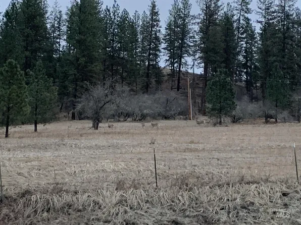71 Cedar View Ln, Kooskia, ID 83539
