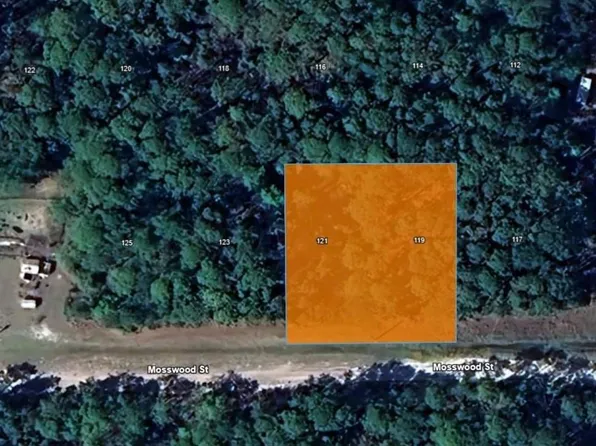 121 MOSSWOOD STREET, GEORGETOWN, FL 32139