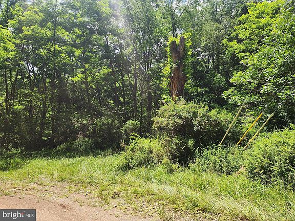 4th image of 1 Nathaniel Mountain Wma