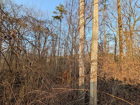 4th image of 0 Pine Breeze Cir
