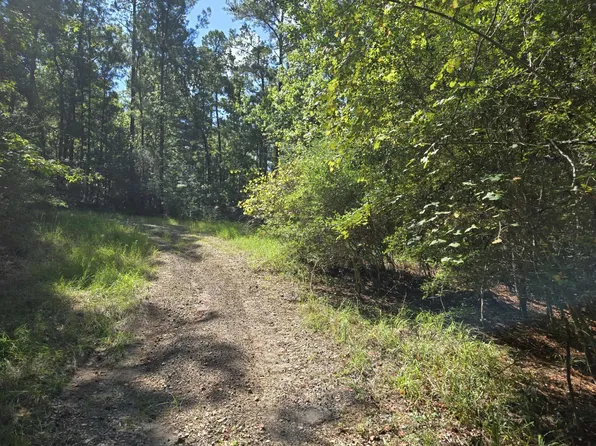 201 Idlewood Ct Lot 201, Brookeland, TX 75931