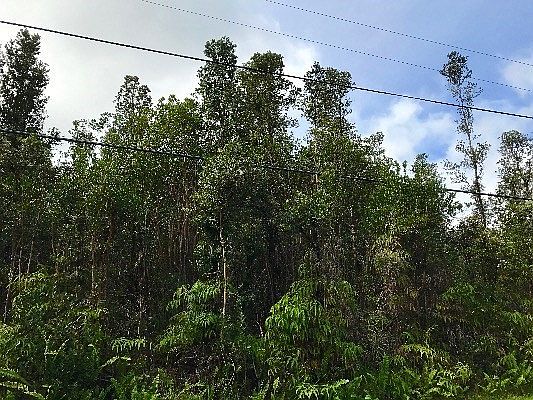 1st image of Hibiscus St Lot 7454