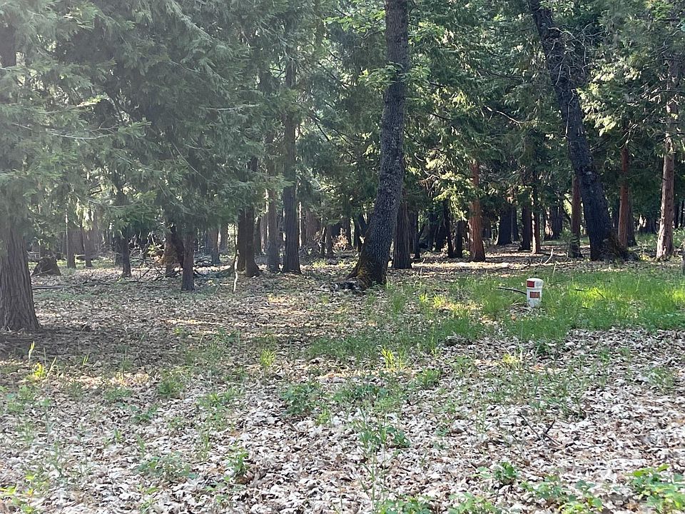 1st image of 13117 Madrone Forest Dr