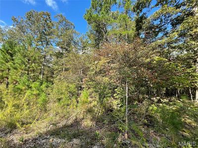 3 Woodland Dr, Poplar Bluff, MO, 63901