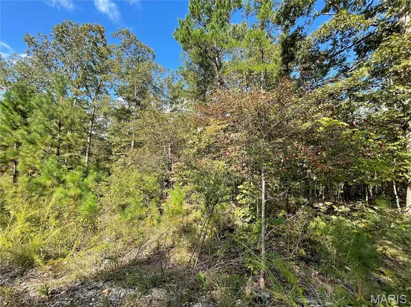 6 Woodland Dr, Poplar Bluff, MO 63901