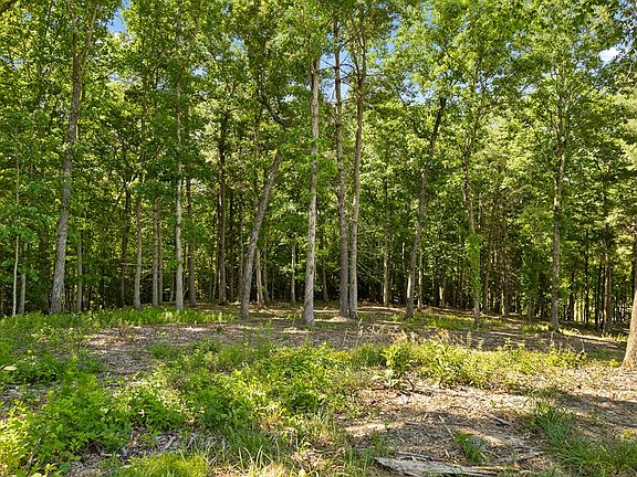 3rd image of 4 Ridge St