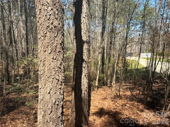 1403 Ron Whicker Dr, Catawba, NC 28609