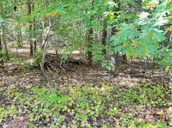 0 Country Club Ln Lot 164, Ruther Glen, VA 22546