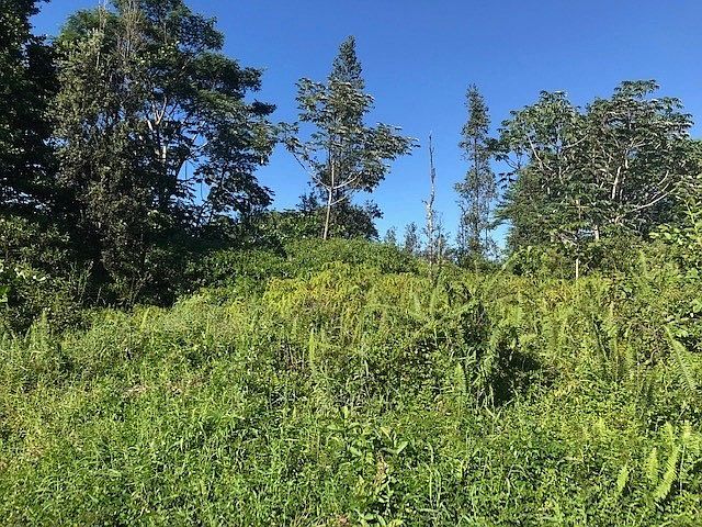 2nd image of 15-1451 12th Ave Lot 1399
