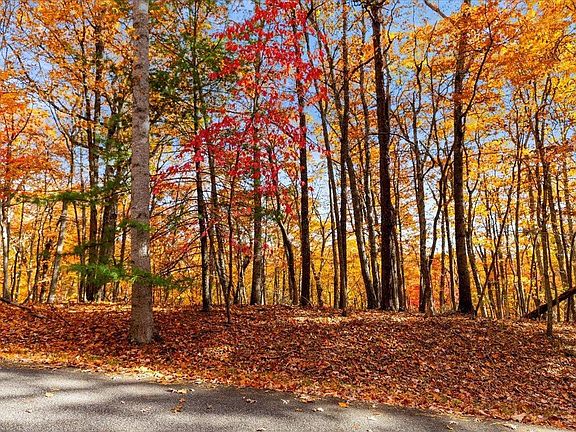 3rd image of Laurel Dr