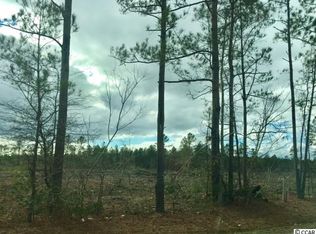 Dunn Short Cut Road Side Of Hwy #S-165, Conway, SC 29526