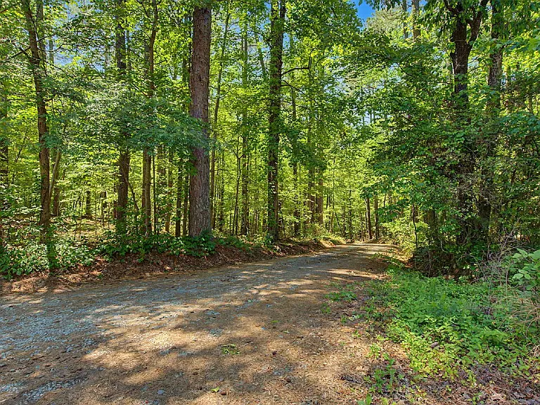 1083 Lily Pad Ln — Photo 25
