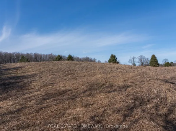 1430 County Road 50 S, Adjala Tosorontio, ON L0N 1P0