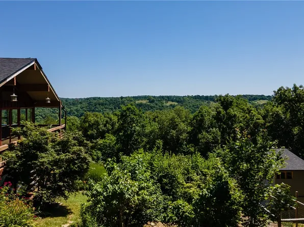 223 Peacock Ln, Pineville, MO 64856