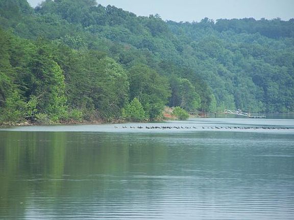4th image of 180 Reservoir View Trl