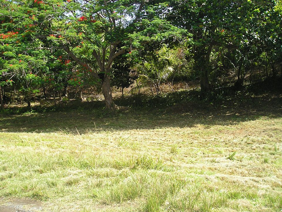 2nd image of Camino Juan Feliciano