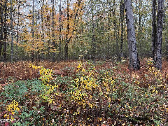 5th image of 665 Perkins Pond Rd