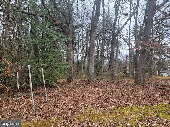 5th image of 10411 Woodward Dr