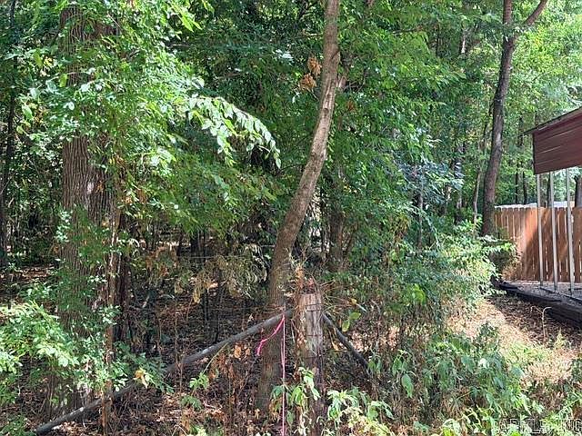 2nd image of 0 McCurdy Rd