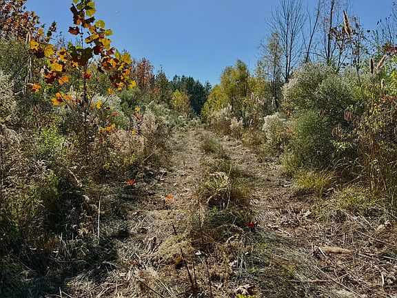 5th image of 9009 Raymond Rd