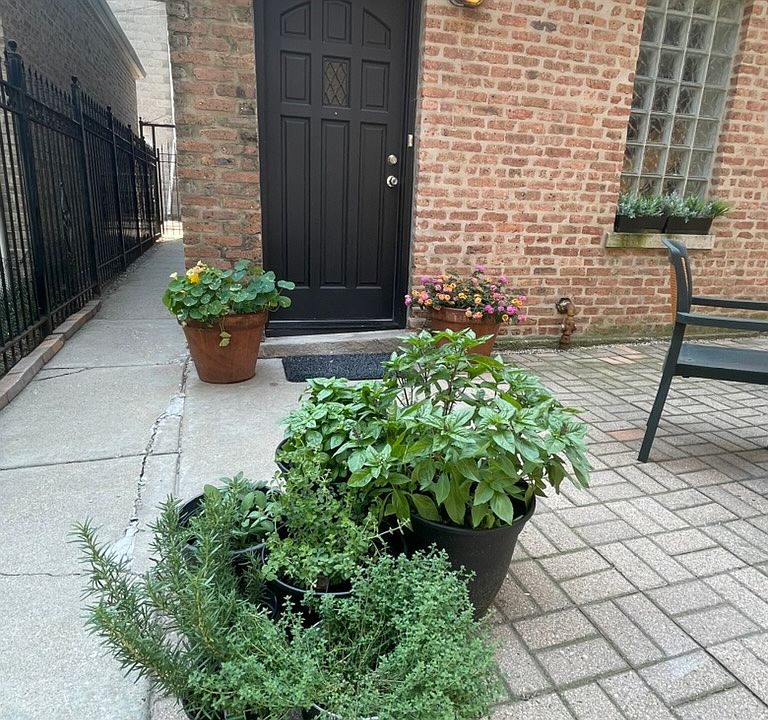 courtyard outside the coach house door