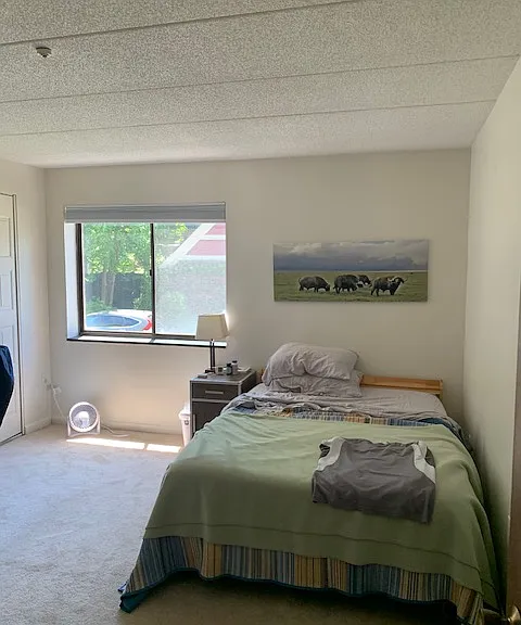 17 Healey St #202 — Photo 4