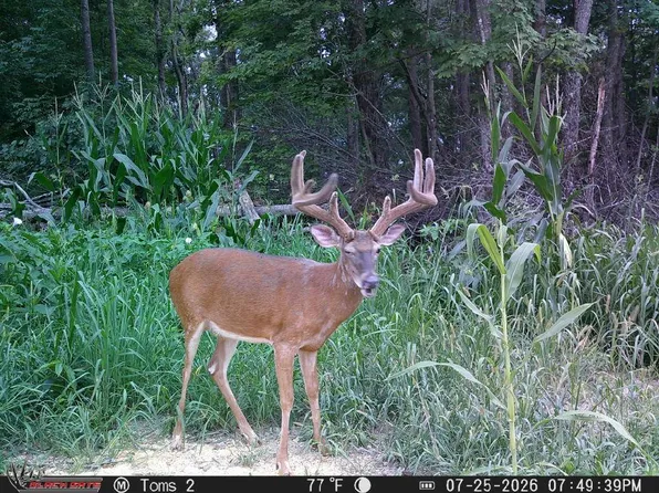 1966 Big Run Rd, Seaman, OH 45679