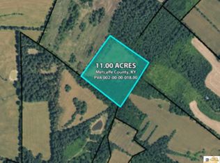 11A Park Savoyard Rd, Horse Cave, KY 42749