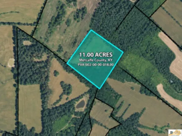 11A Park Savoyard Rd, Horse Cave, KY 42749