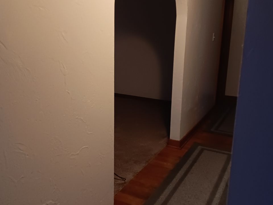 Hallway with entrance to living room on left.