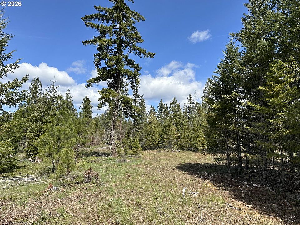 2nd image of Ranger Rd #1