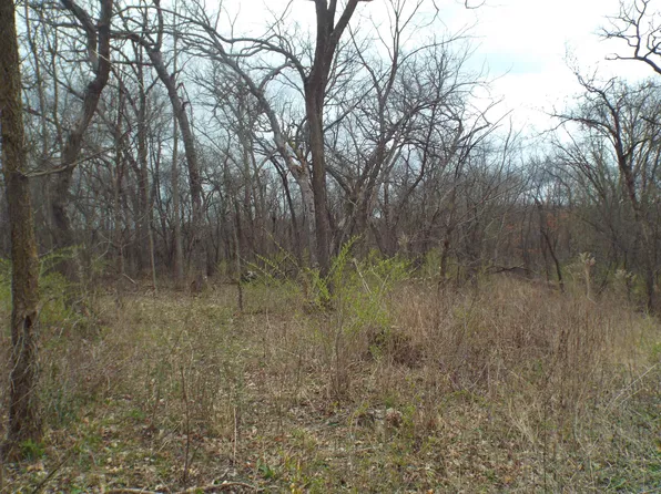 Dog Hollow Rd, Argyle, WI 53504