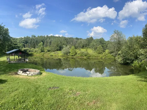 1414 Oak Hill Rd, Barton, NY 13734