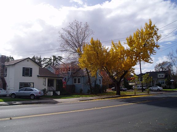 Fall 2006