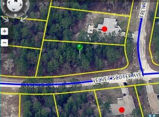 13161 Velvet Scoter Ave, BROOKSVILLE, FL 34614