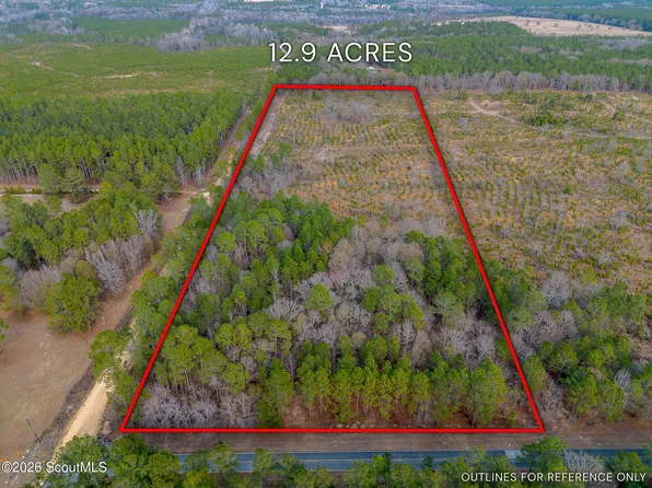 TRACT One Wilson Woodard Rd, Hawkinsville, GA 31036