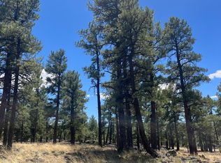 0 Forest Rd #301, Grants, NM 87020