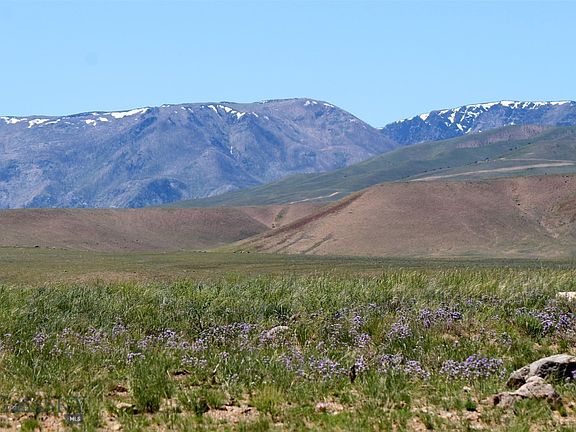 3rd image of W Stagecoach Spur #935-8