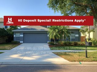 10434 Lightner Bridge Dr, Tampa, FL 33626