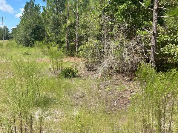 Ppf 17 Payne Pond Rd #Ppf-17, Westville, SC 29175