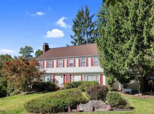 1 David Pl, Flanders, NJ 07836